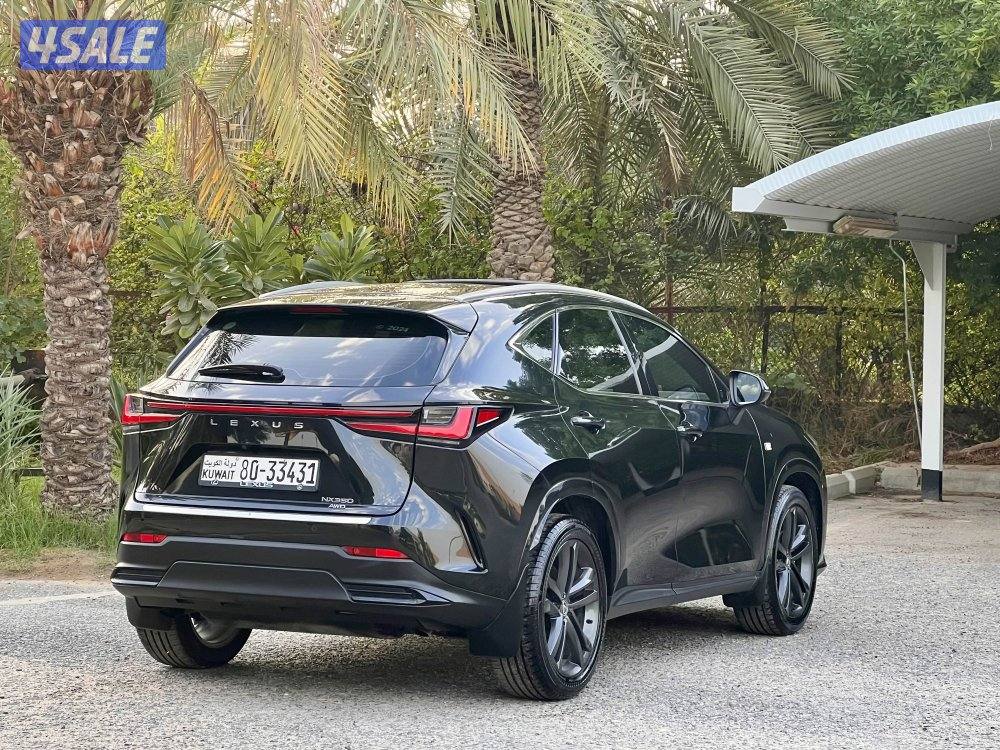 البيع بحاله الوكاله5