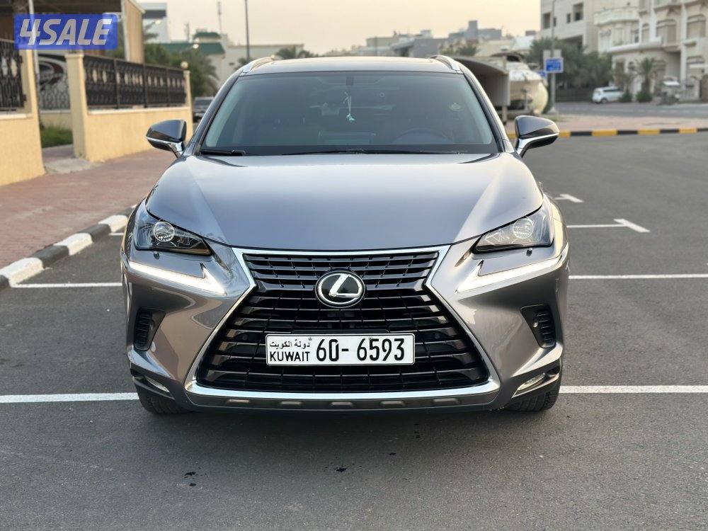 NX2021 صبغ الوكاله1