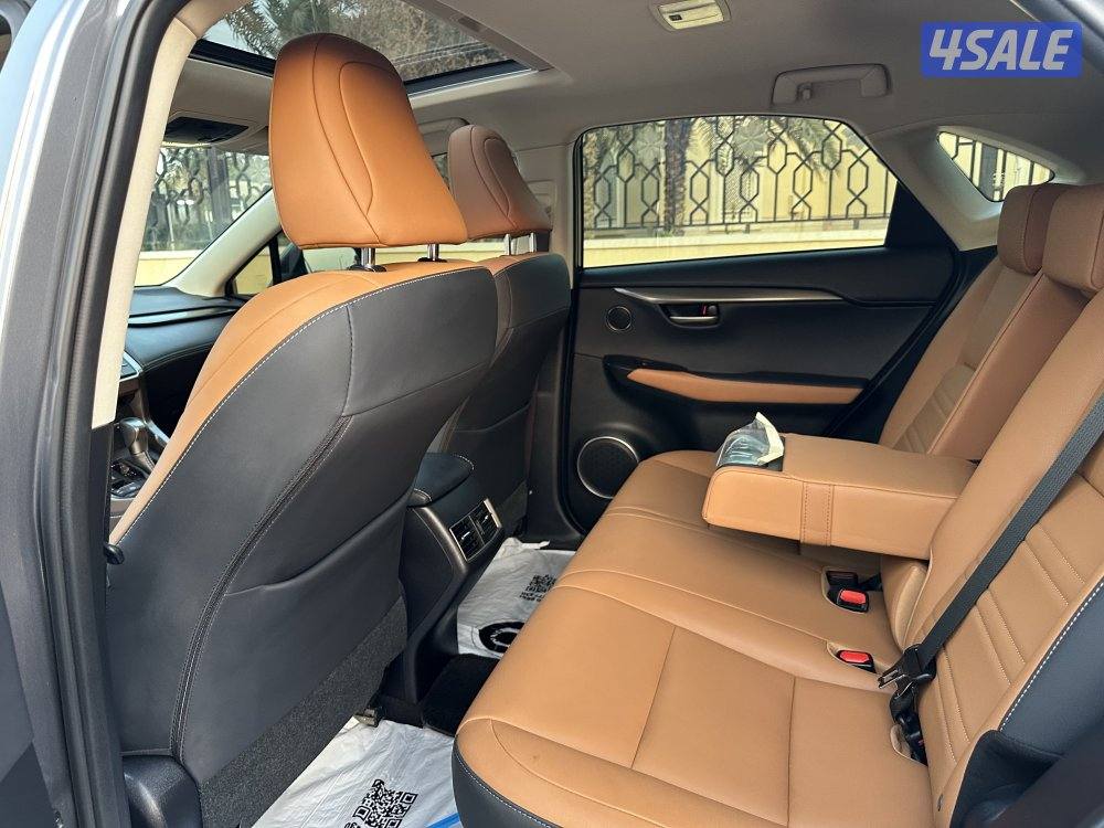 NX2021 صبغ الوكاله2