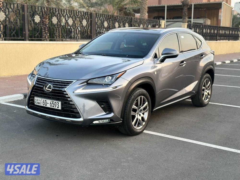 NX2021 صبغ الوكاله3