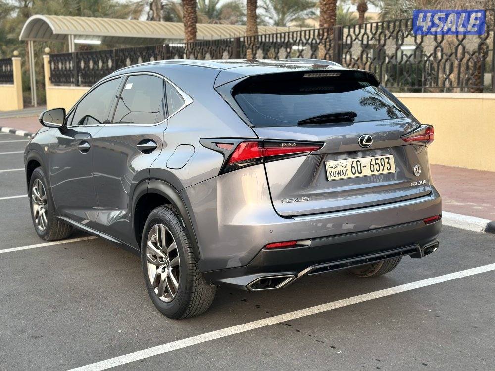 NX2021 صبغ الوكاله4