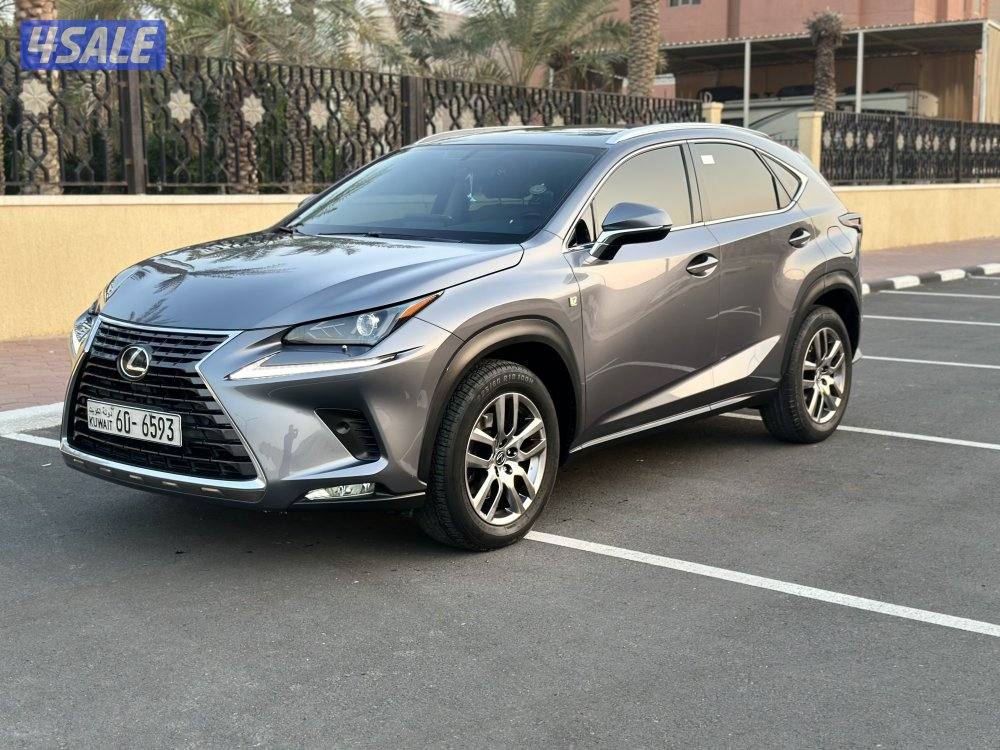 NX2021 صبغ الوكاله6