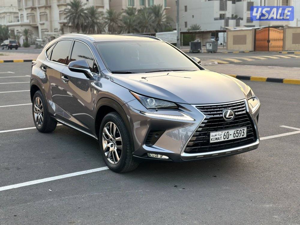 NX2021 صبغ الوكاله7