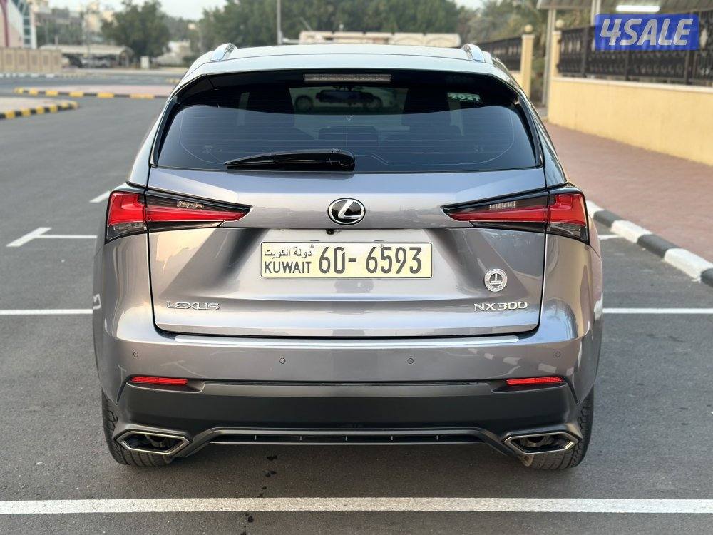 NX2021 صبغ الوكاله8