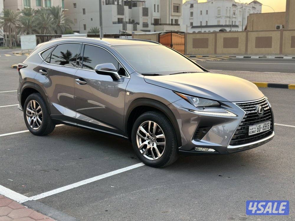 NX2021 صبغ الوكاله10