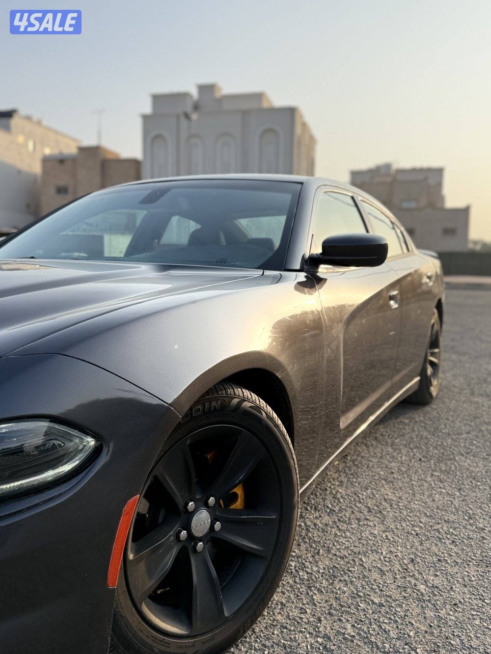 ماشي 100 فقط1