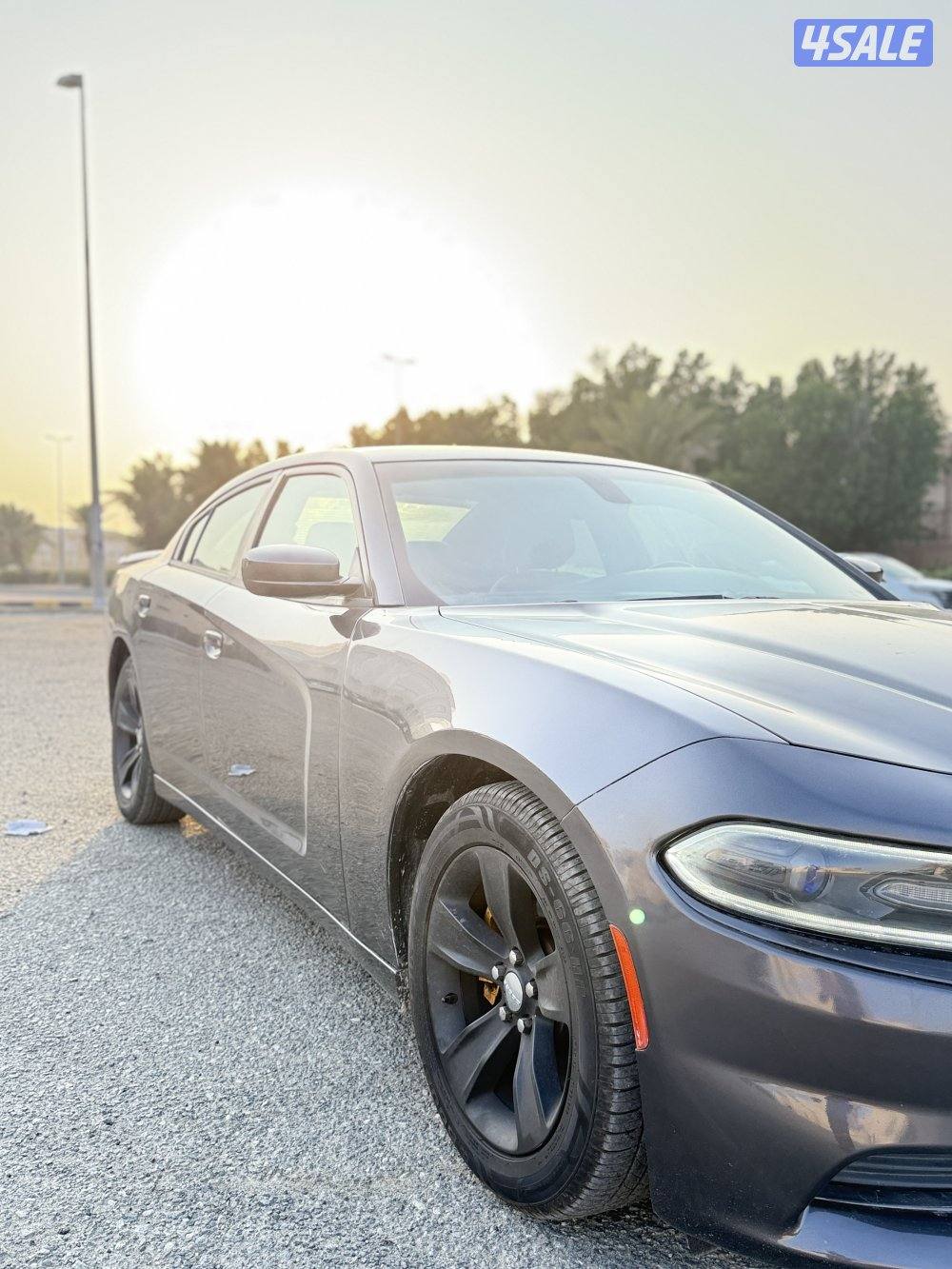 ماشي 100 فقط7