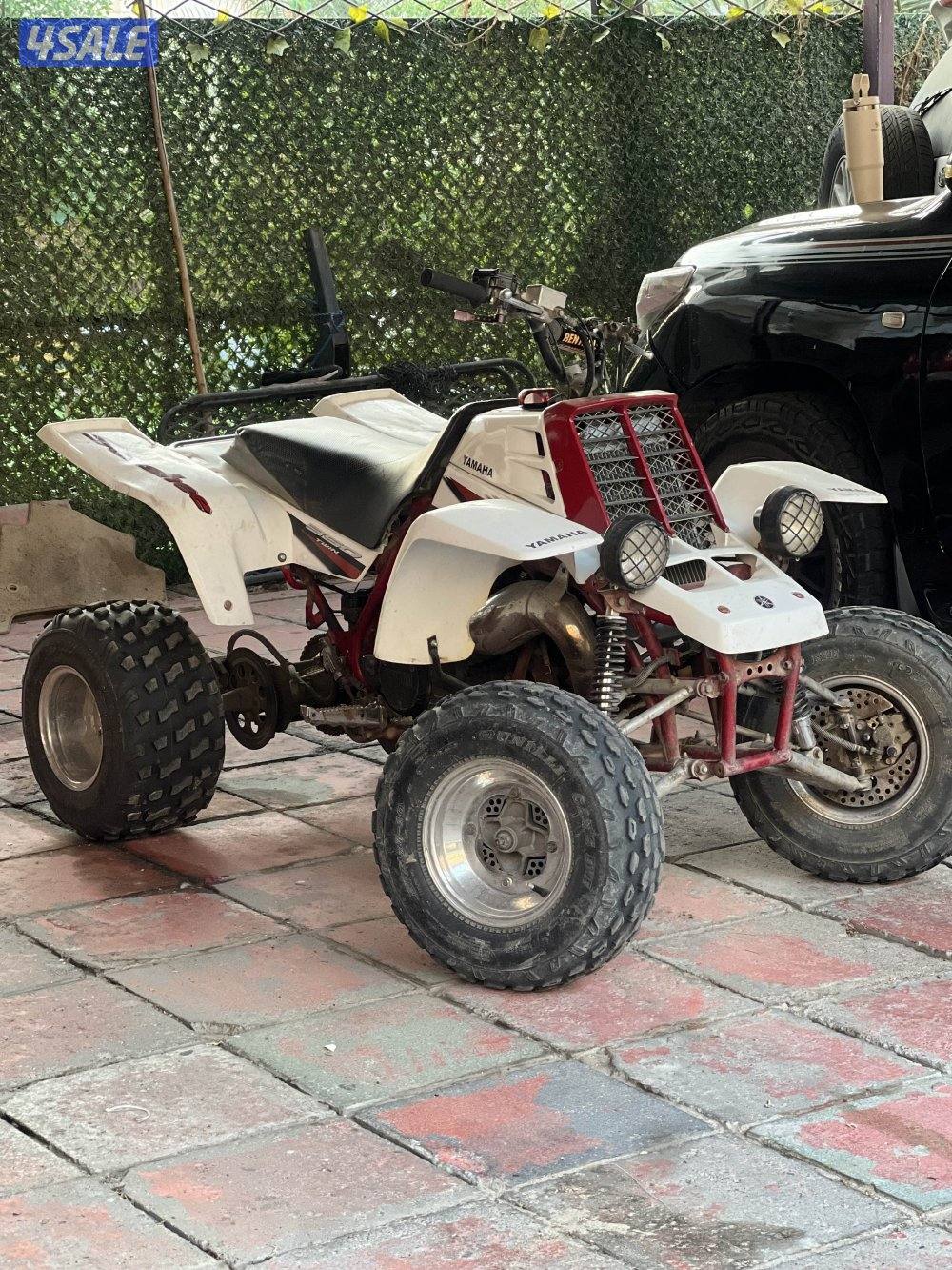 بانشي ٢٠٠٥ وكاله0