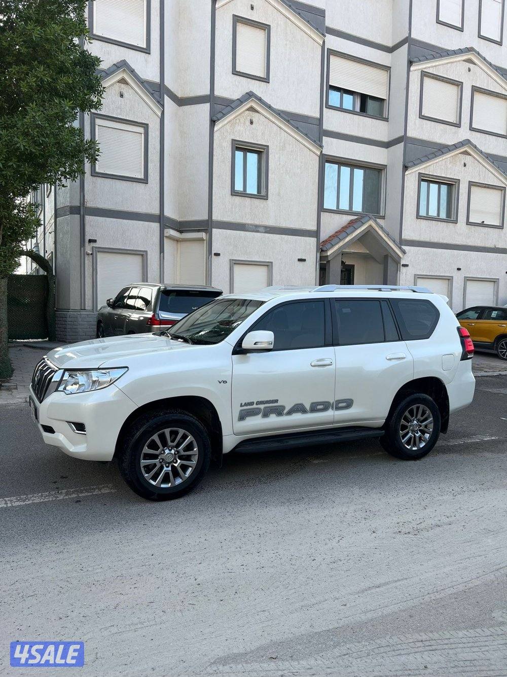 2020 صبغ وكاله برادو10