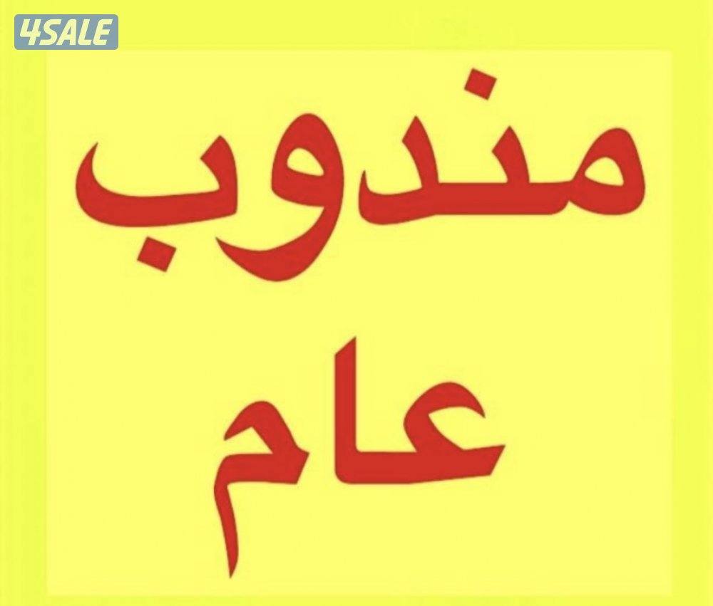 شاب ابحث عن عمل لدي خبره مندوب عام ووكيل عقار0