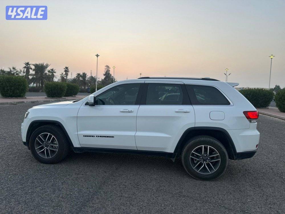 جيب لاريدو 2021 صبغ الوكاله6