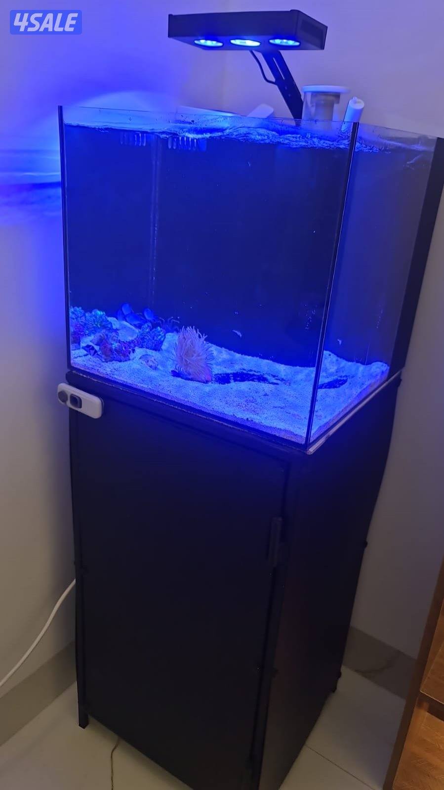 حوض سمك مياه مالحه0