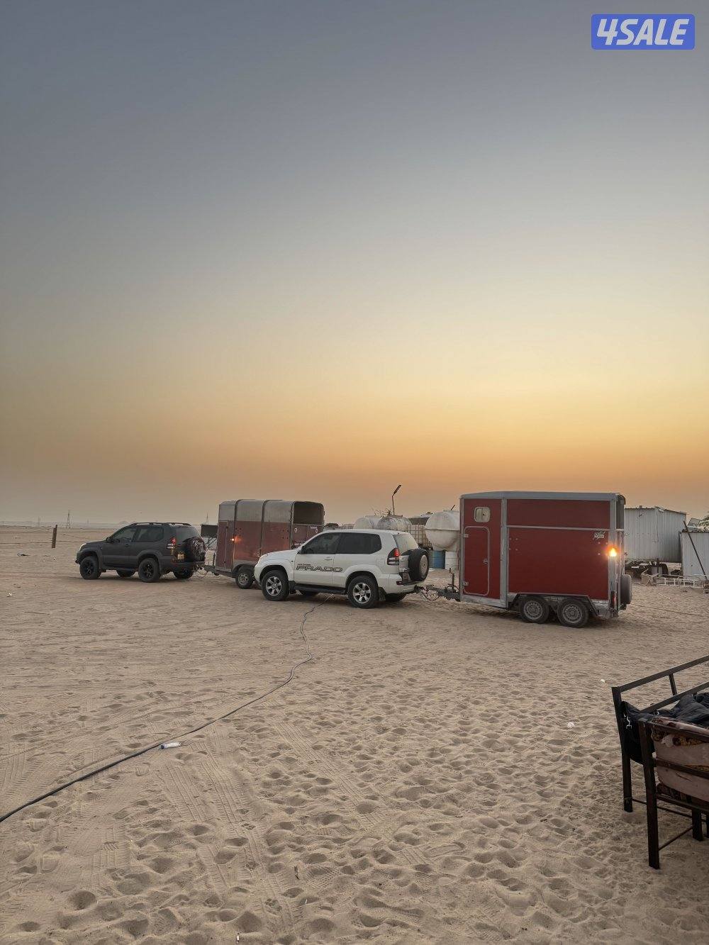 نقل خيل جميع مناطق الكويت0