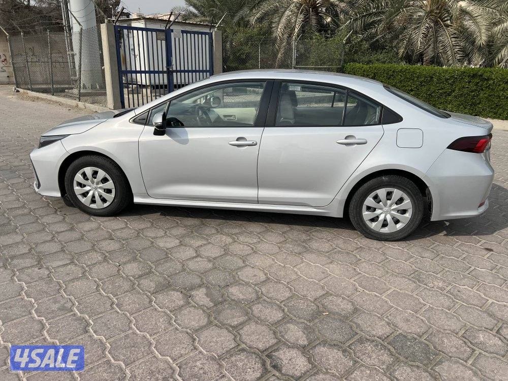 2022 صبغ الوكالة4