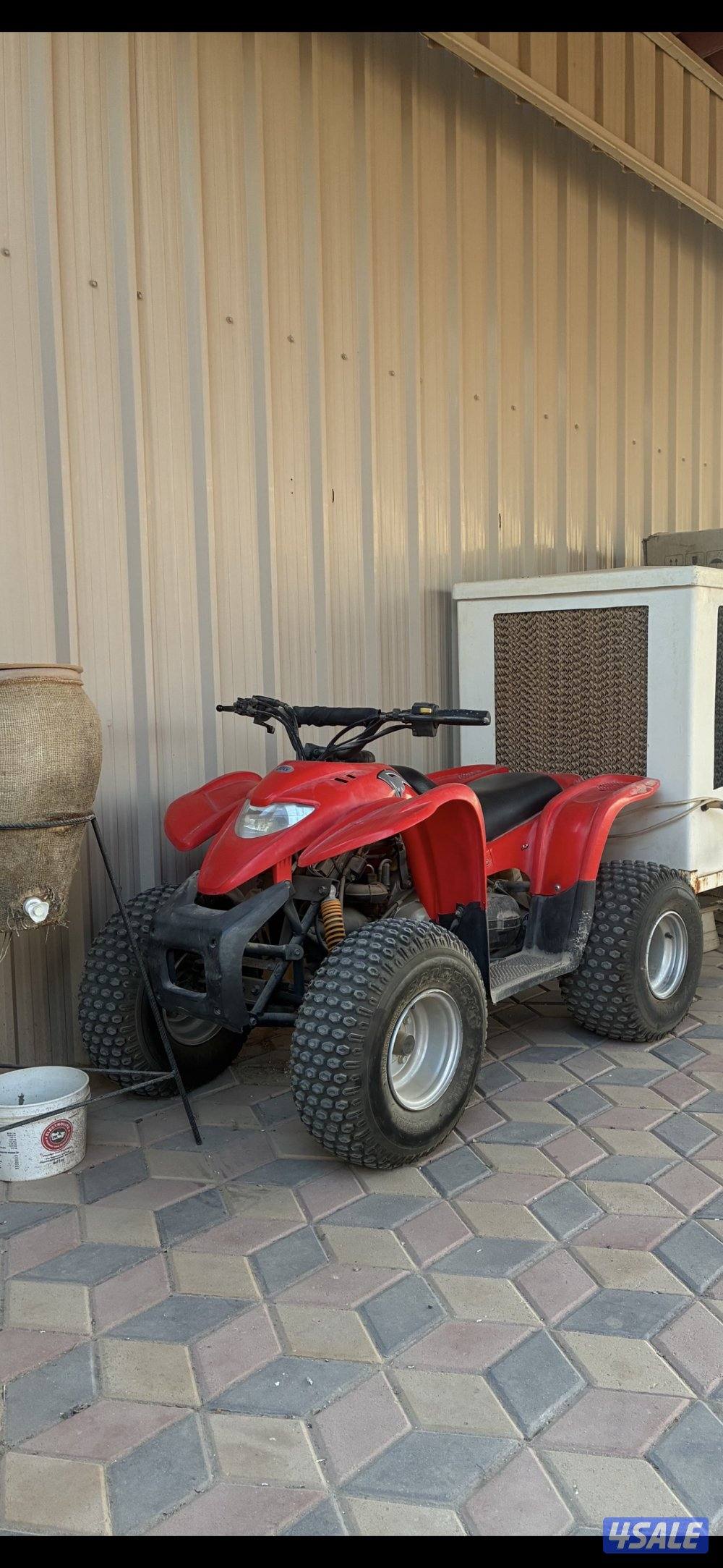 للبيع بقي عميري حجم 100 مع عربانه1