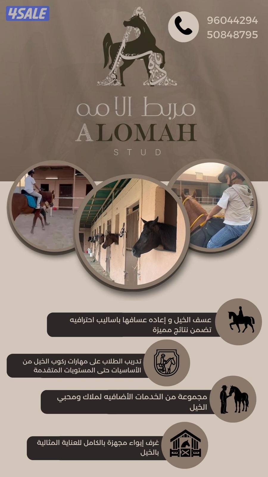 مربط الامه0