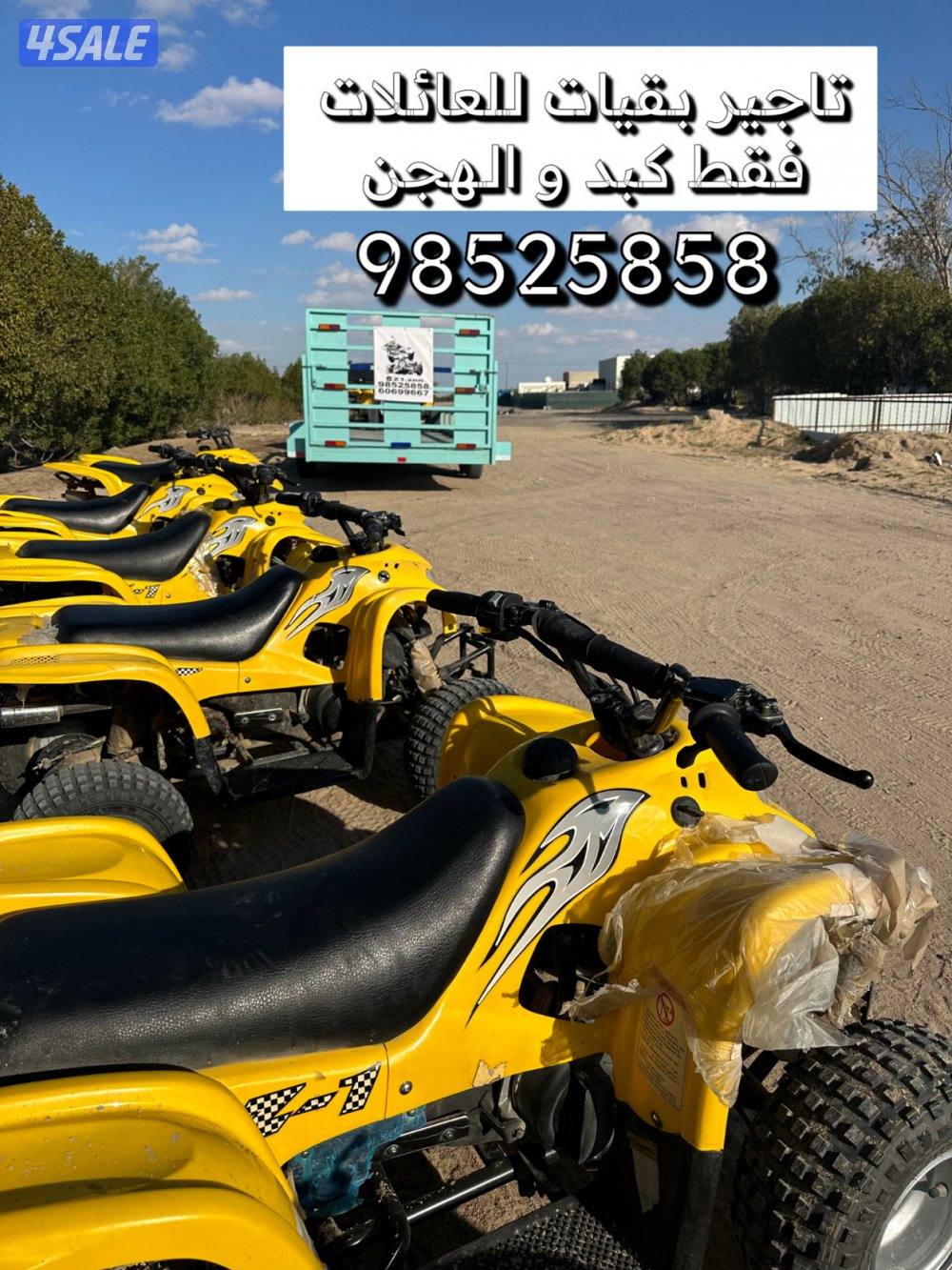 تاجير بقيات للعائلات فقط كبد و الهجني0