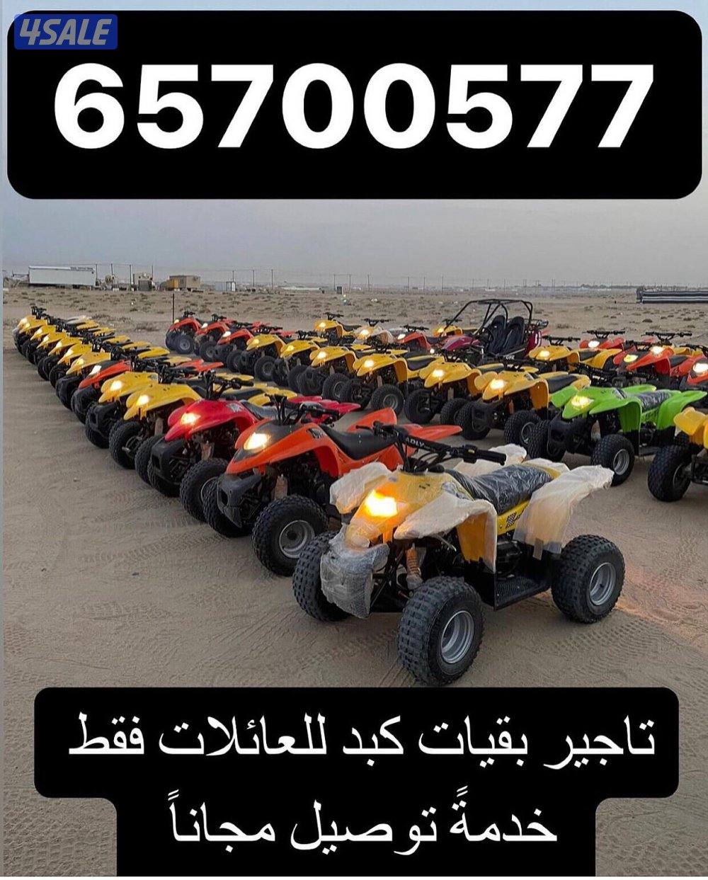 تاجير بقيات جديداً0