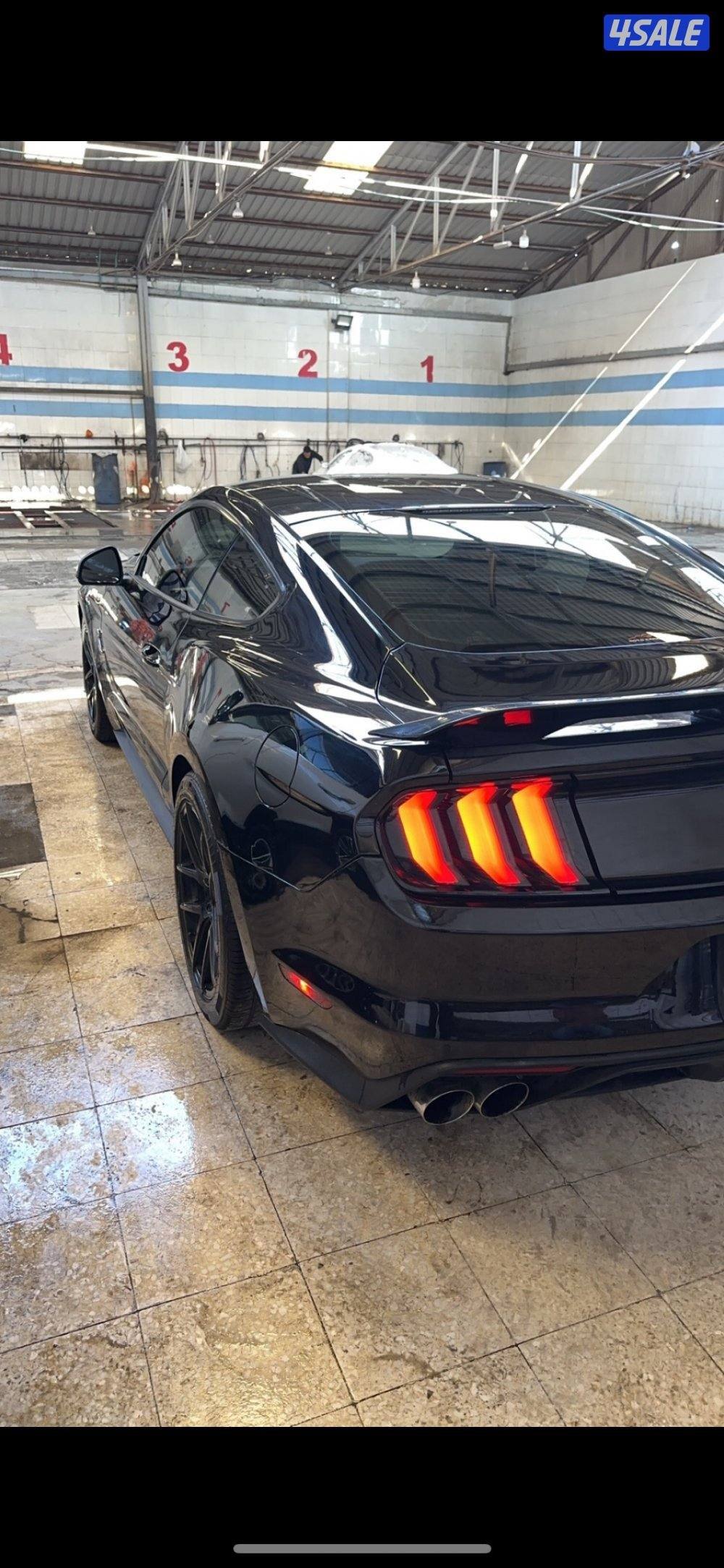 سبشيل كالفورنيا3