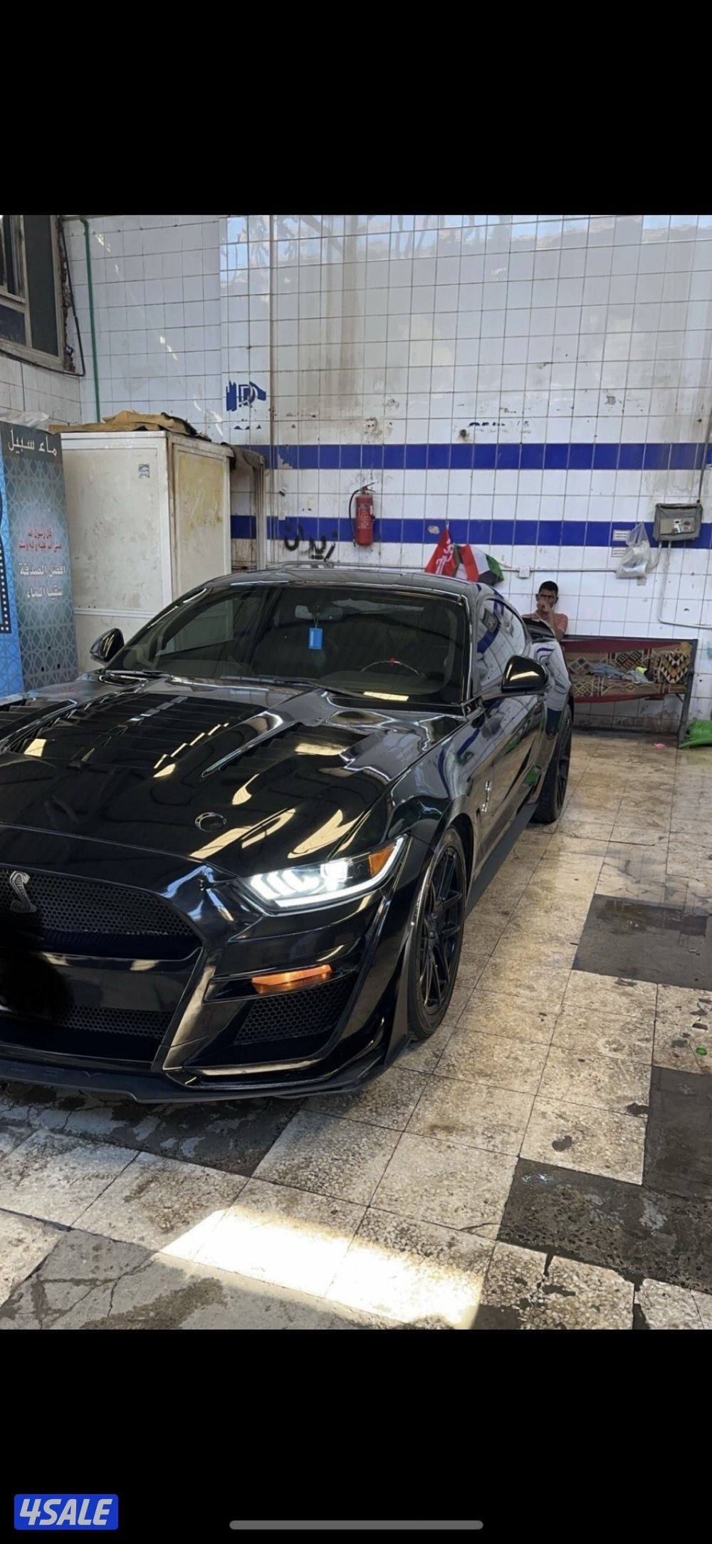 سبشيل كالفورنيا4