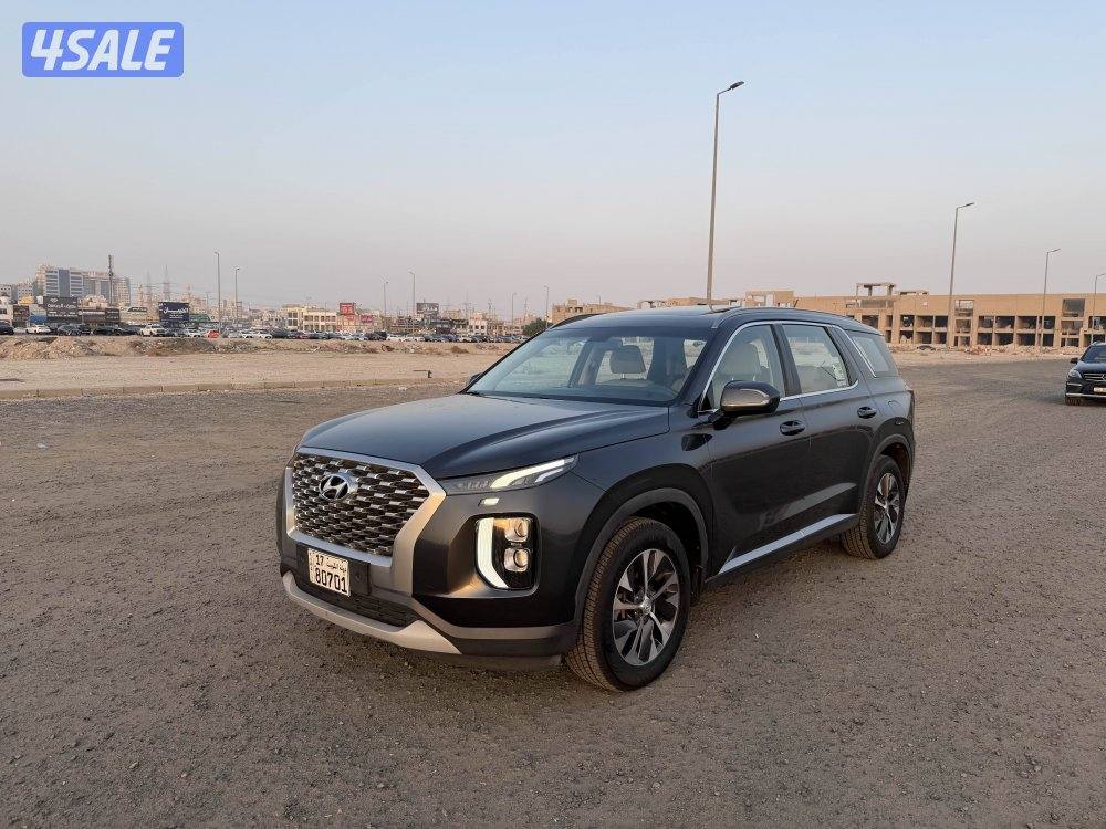 هيونداي 2020 باليسيد صبغ وكالة1