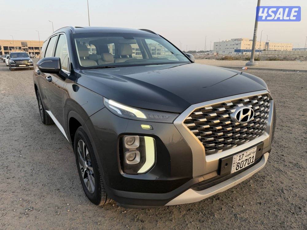 هيونداي 2020 باليسيد صبغ وكالة2