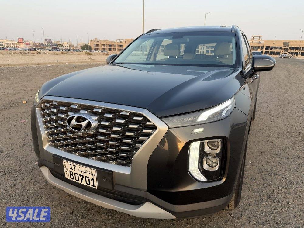 هيونداي 2020 باليسيد صبغ وكالة3