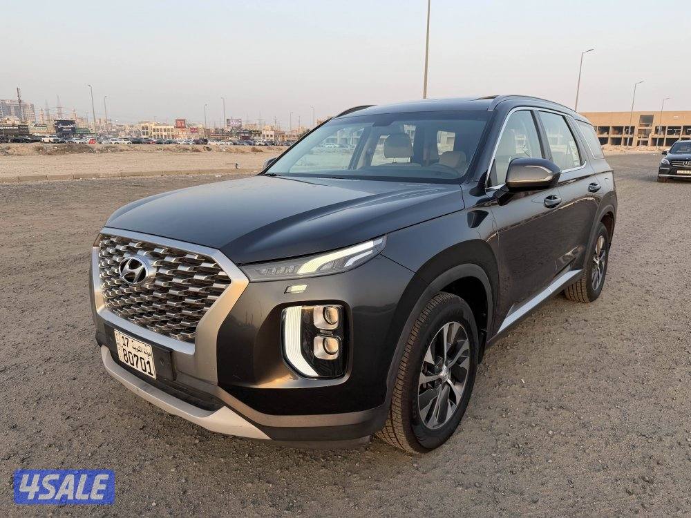 هيونداي 2020 باليسيد صبغ وكالة4