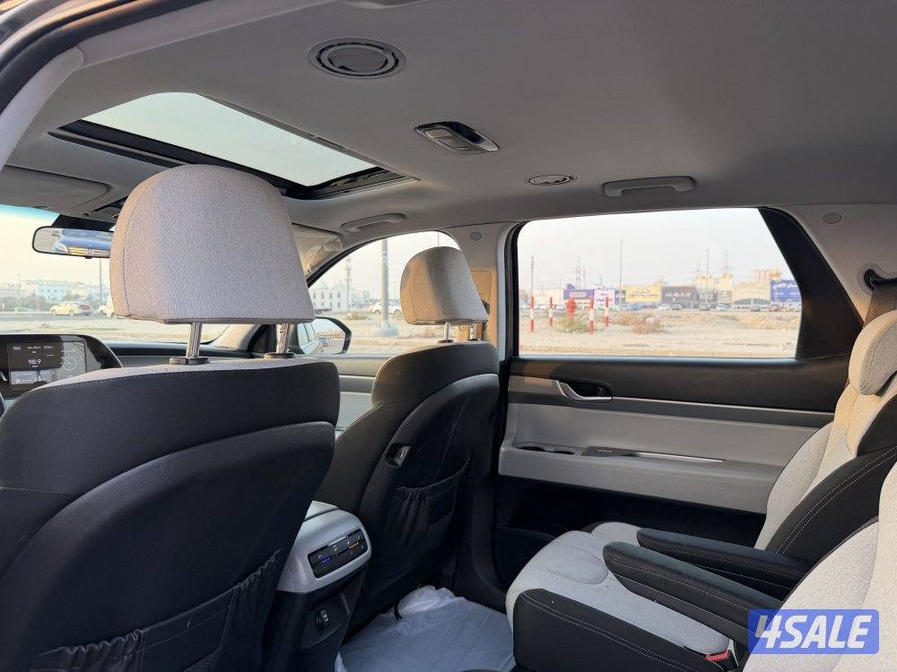 هيونداي 2020 باليسيد صبغ وكالة9