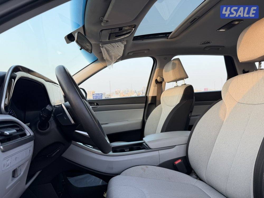 هيونداي 2020 باليسيد صبغ وكالة11