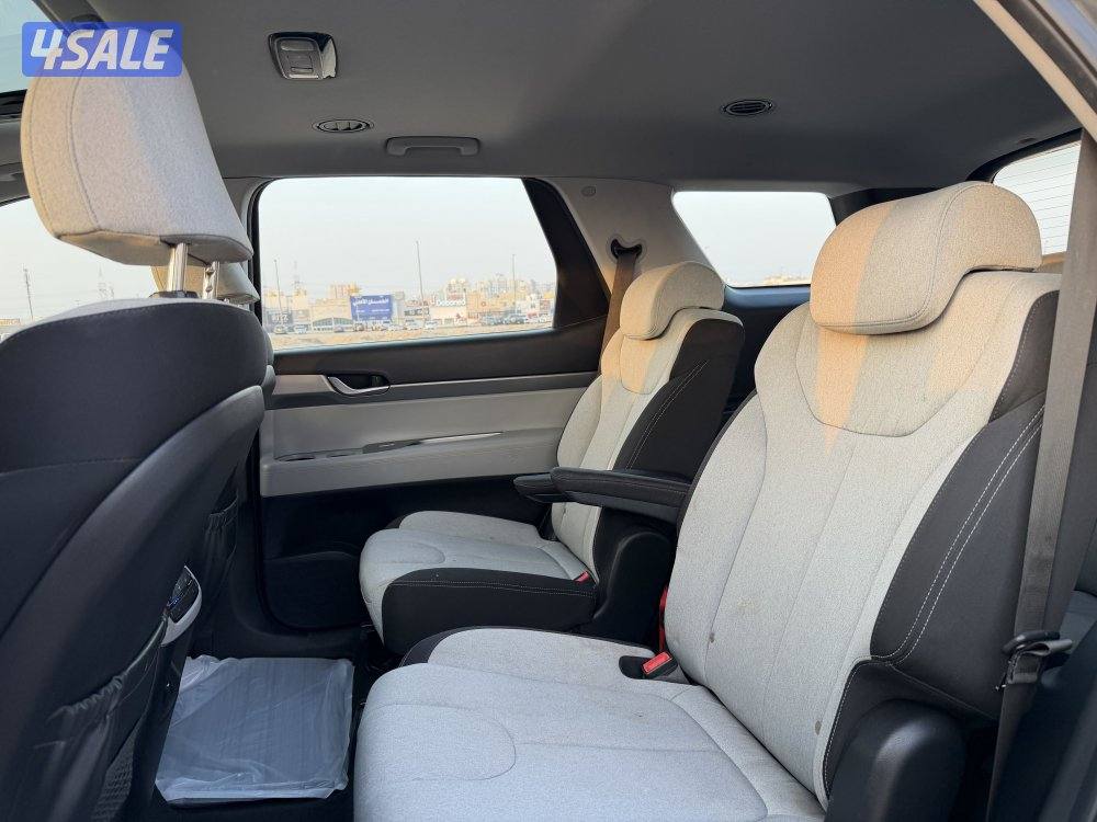 هيونداي 2020 باليسيد صبغ وكالة13