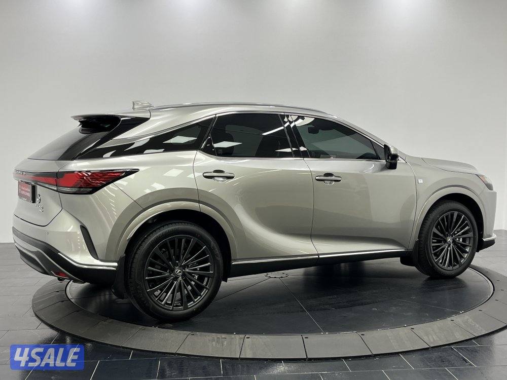 LEXUS RX350 25RX350-LUXURY+14