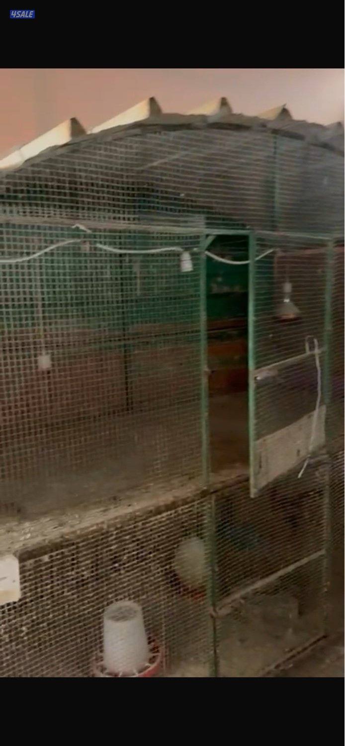 خانات حضانات حديد و سلاكه1