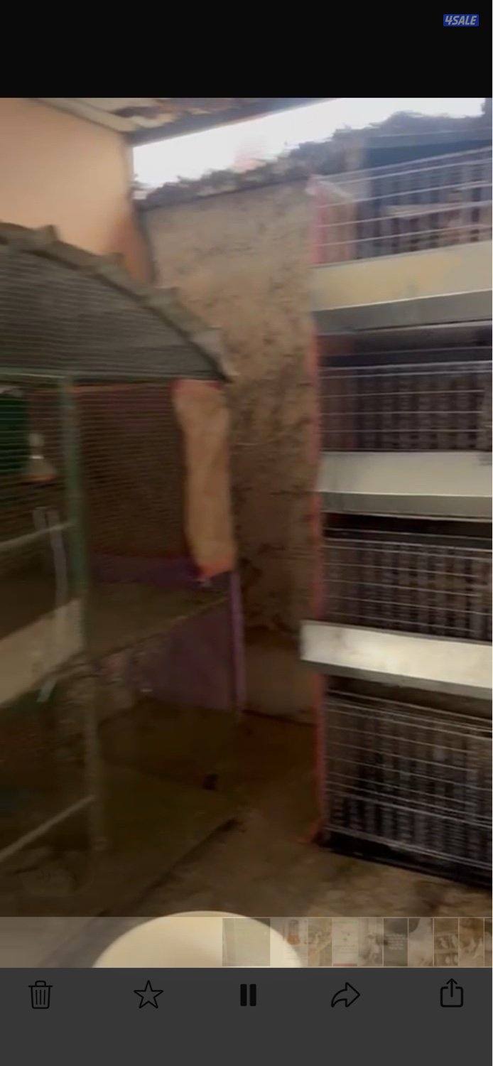 خانات حضانات حديد و سلاكه0