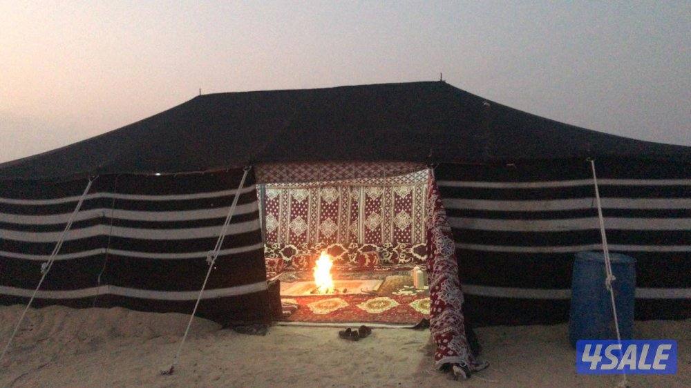 مطلاع  ان ٨2