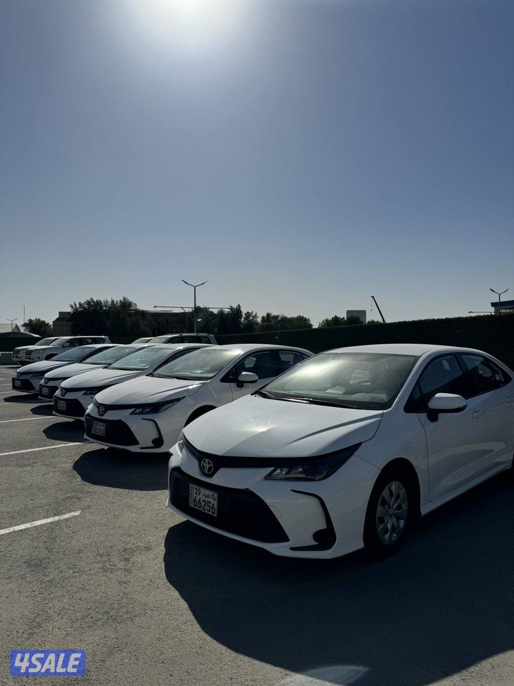 تويوتا كورلا 20213