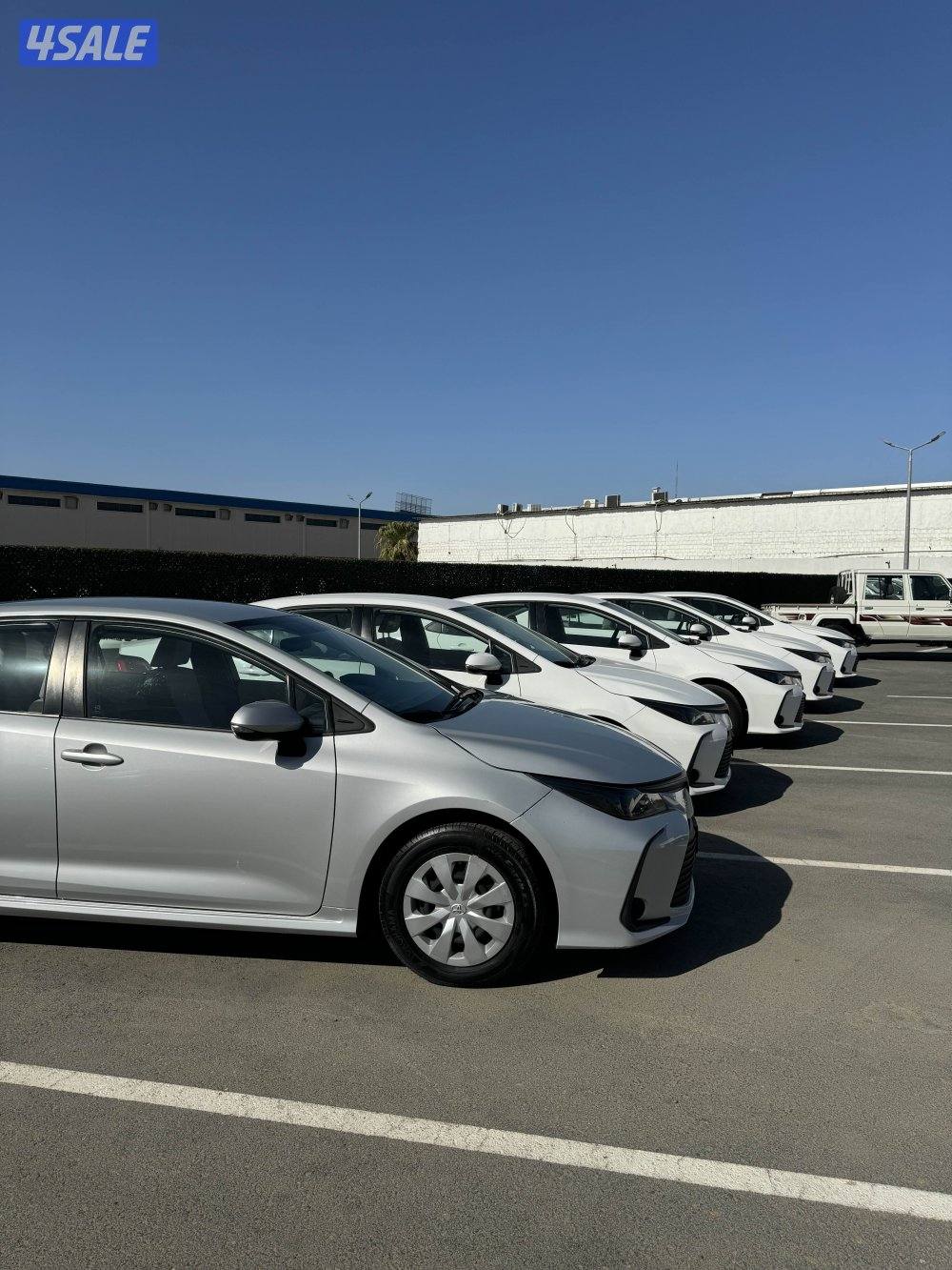 تويوتا كورلا 20214