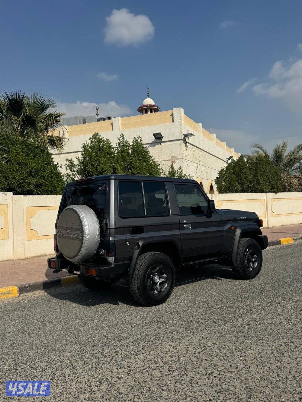 للبيع ربع شاص3