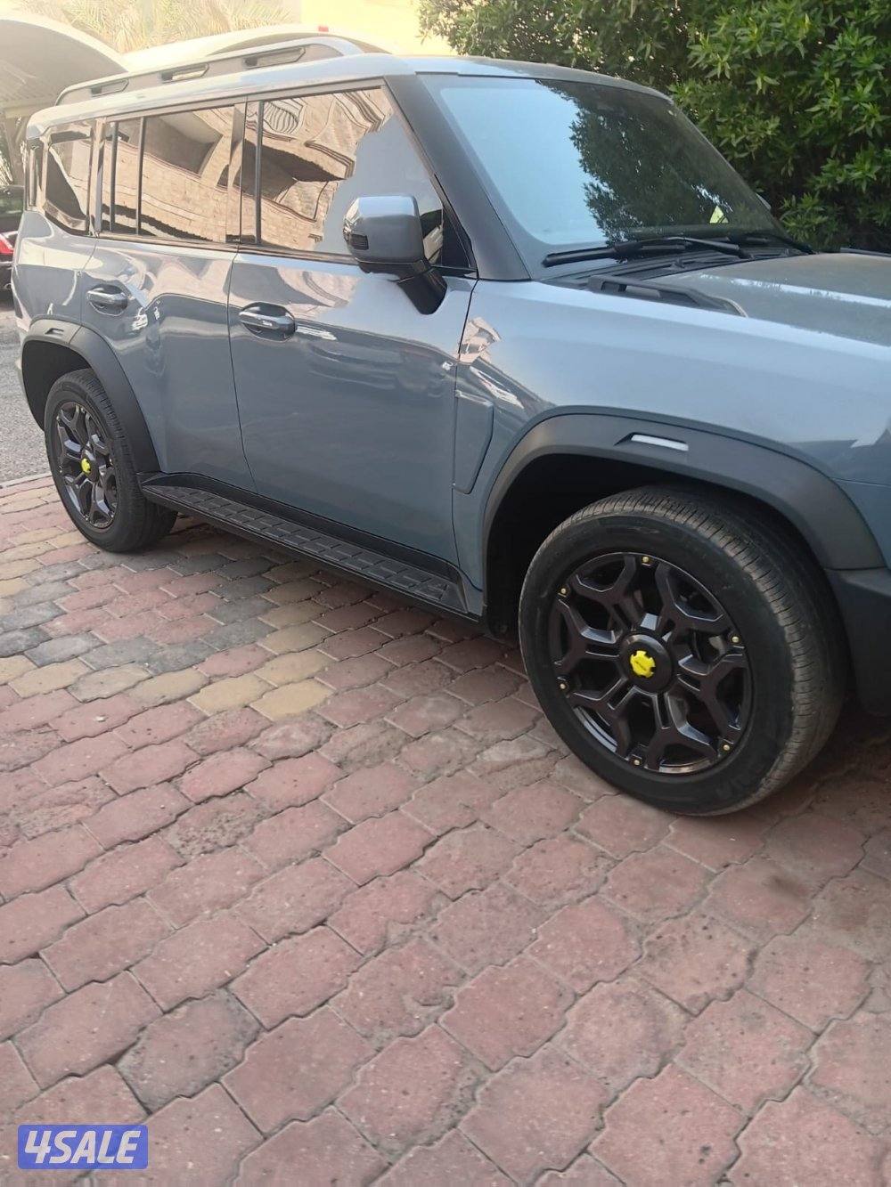 جيتورللبيع t21