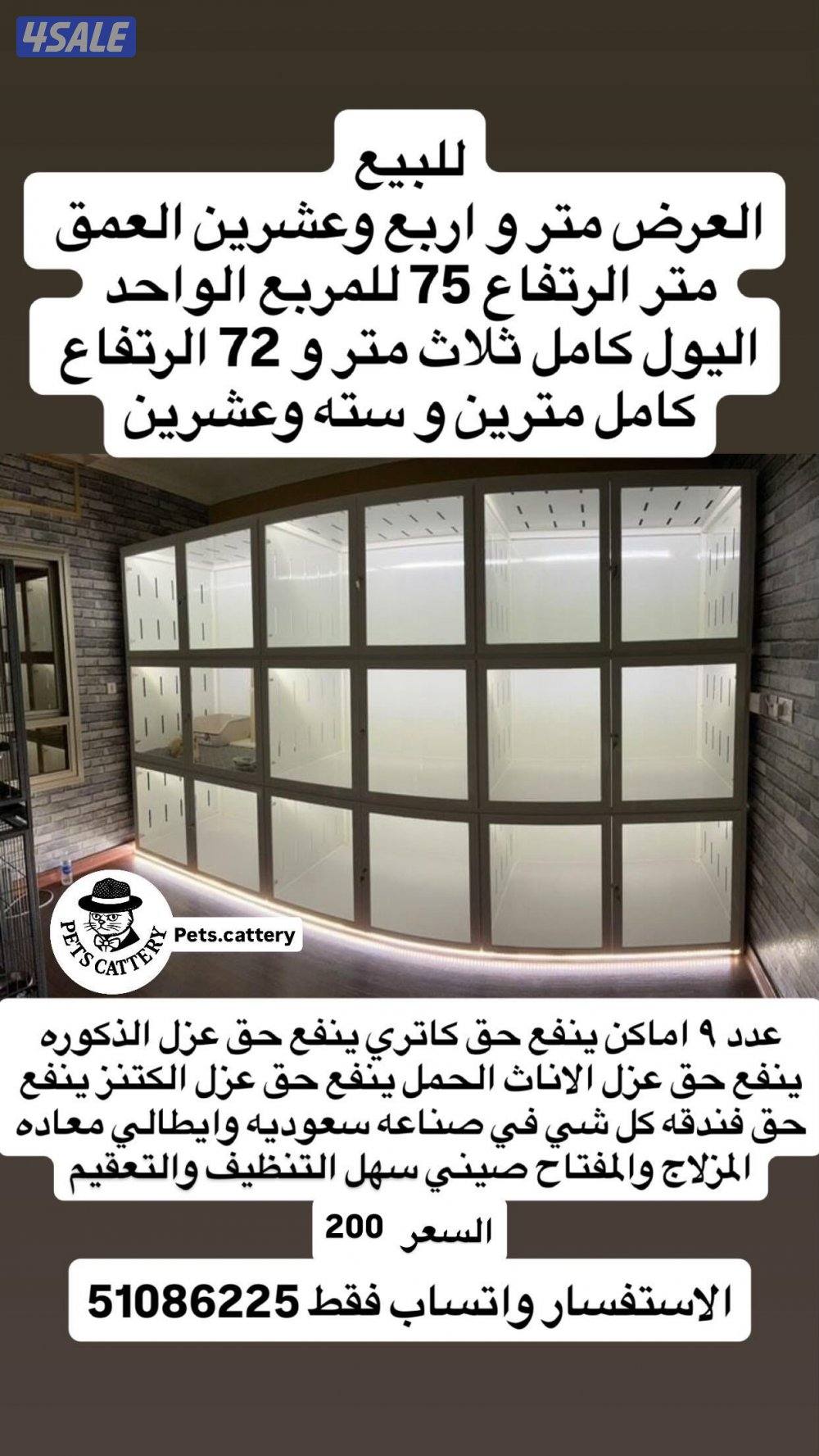 لي محبين القطط0