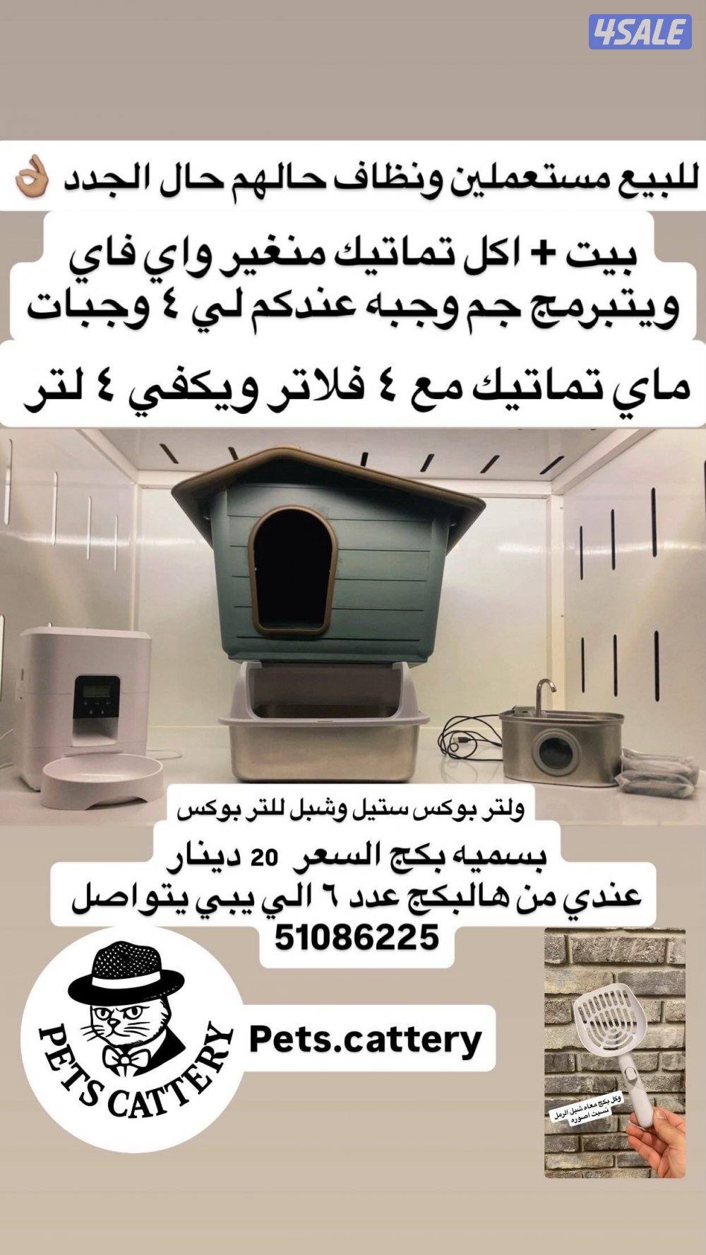 لي محبين القطط1