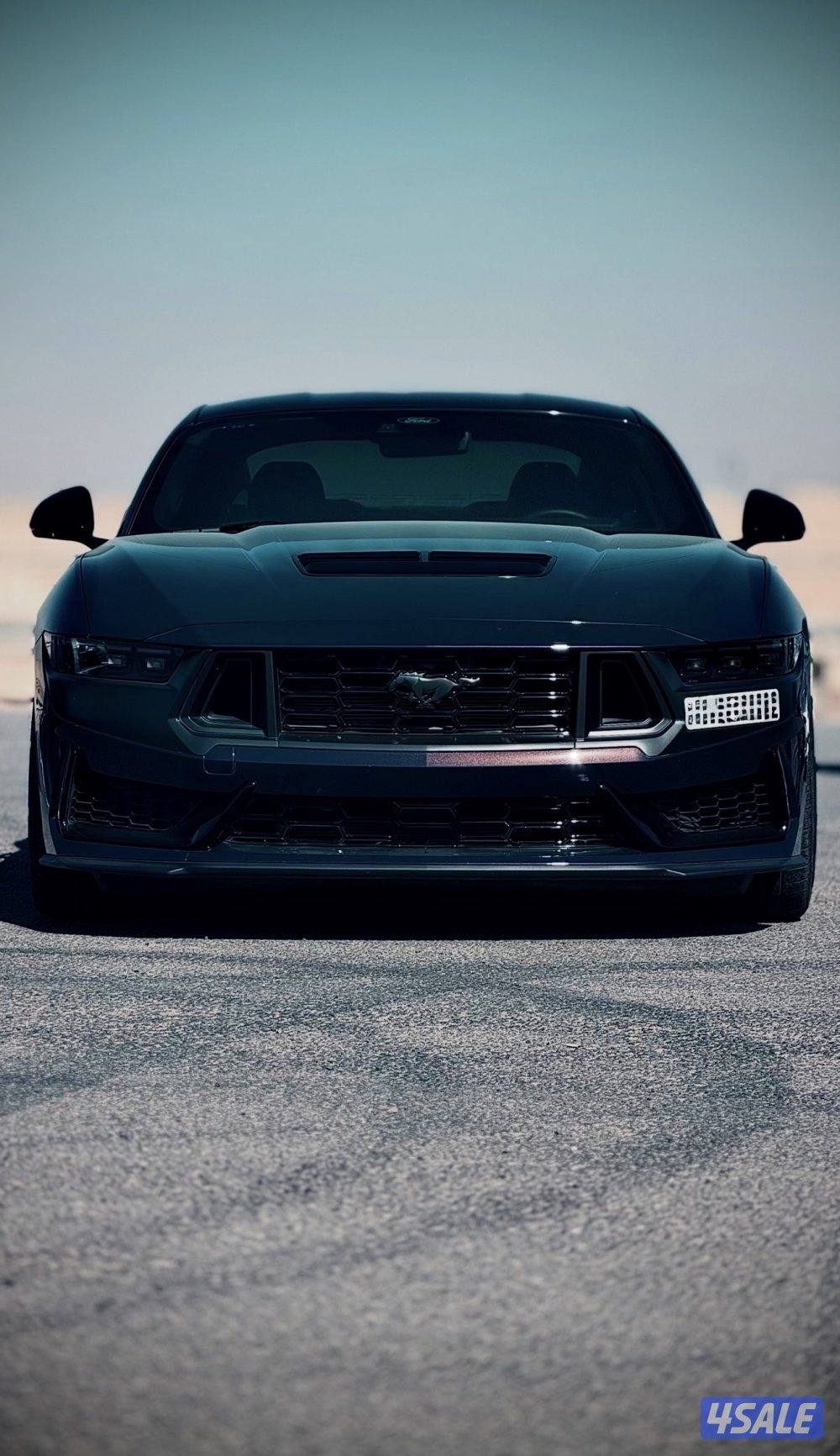 موستانق/ دارك هورس 2025 ⭕️dark horse⭕️ الي يدور النظيف1