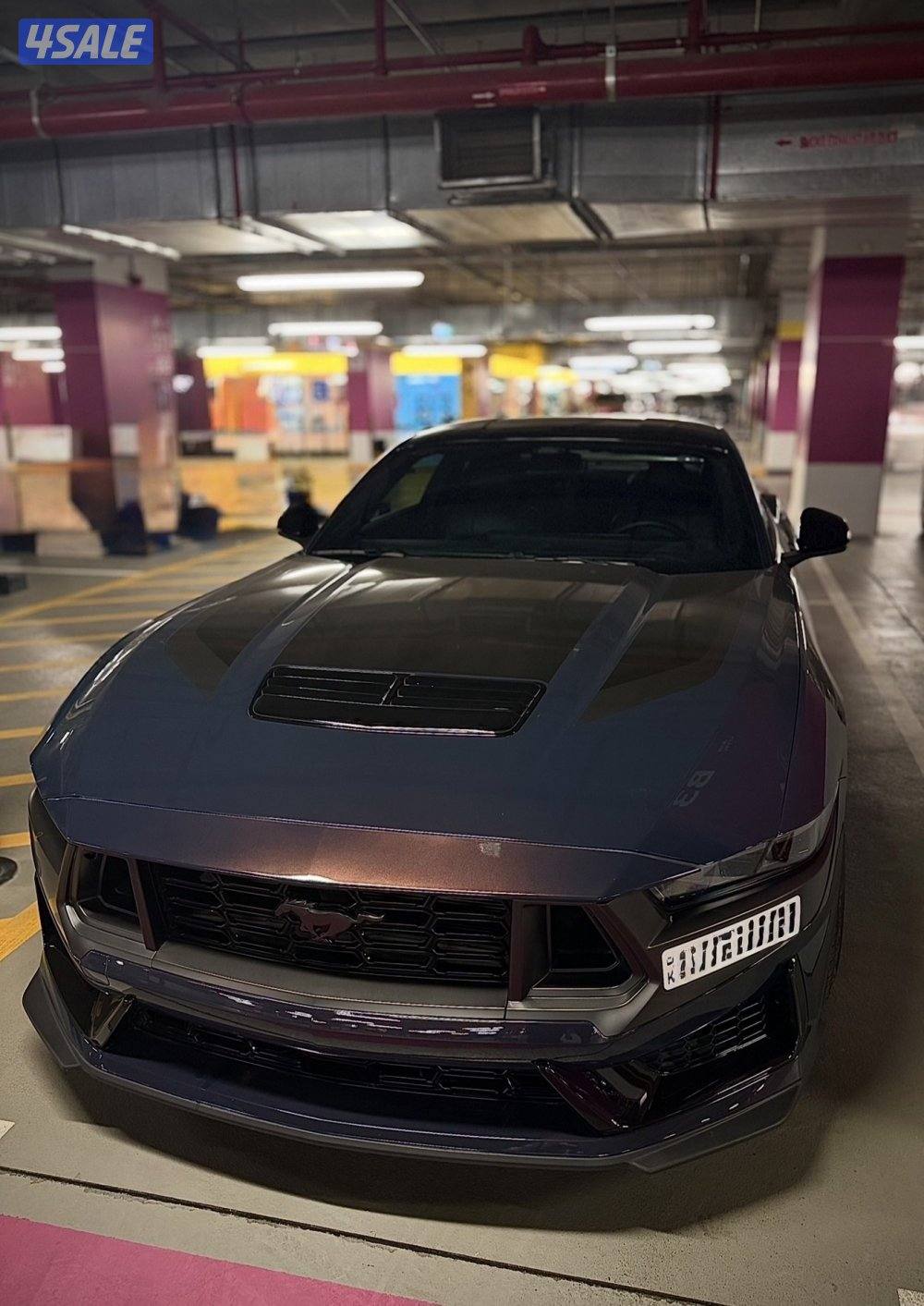 موستانق/ دارك هورس 2025 ⭕️dark horse⭕️ الي يدور النظيف5