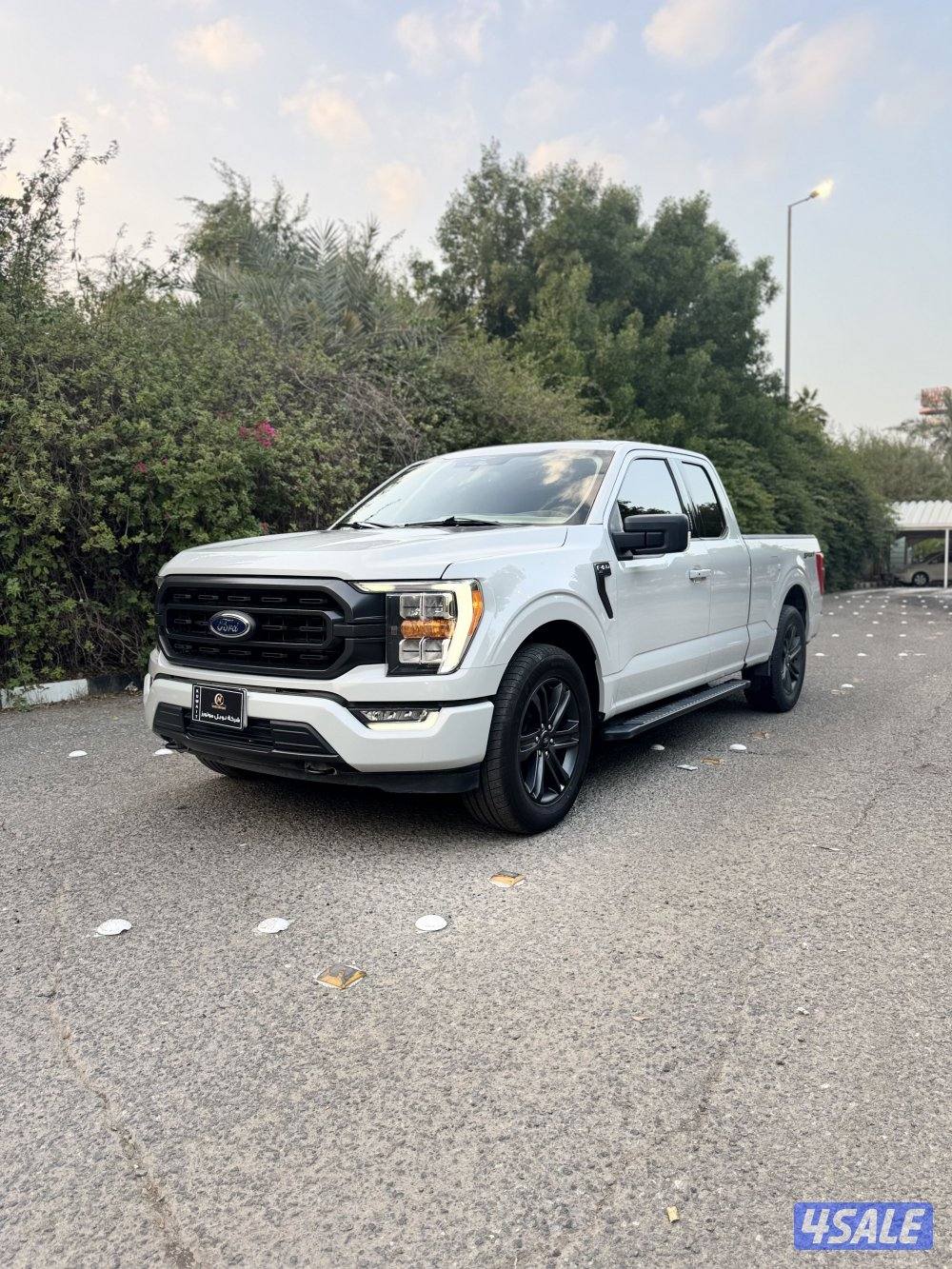 F150 (تحت الكفالة -صبغ وكاله)0