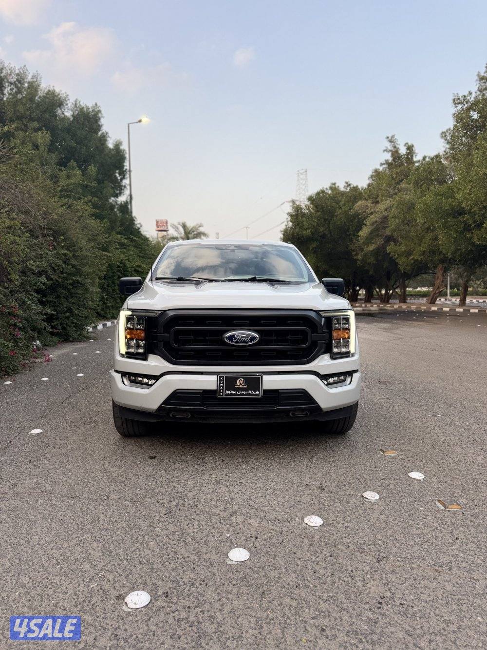 F150 (تحت الكفالة -صبغ وكاله)1