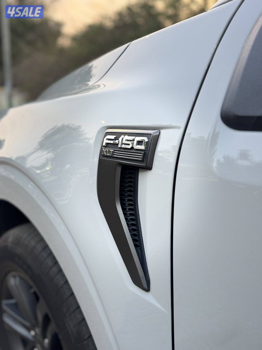 F150 (تحت الكفالة -صبغ وكاله)5