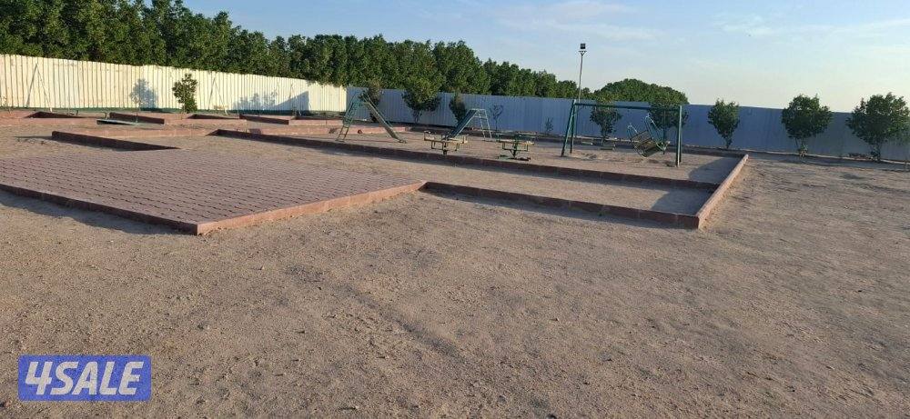 البيع مزرعه بالعبدلي مساحتها 25 ألف زاويه جاهزه للسكن دخول وخروج شريك4