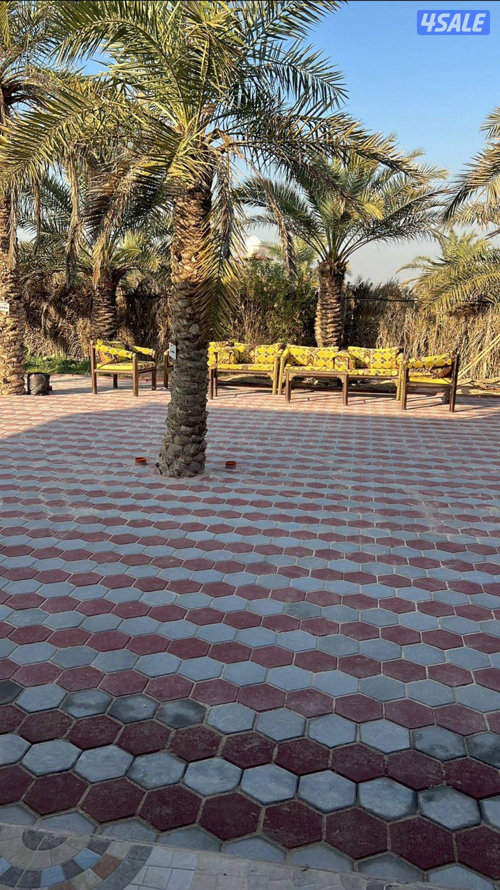 البيع مزرعه بالعبدلي مساحتها 25 ألف زاويه جاهزه للسكن دخول وخروج شريك6