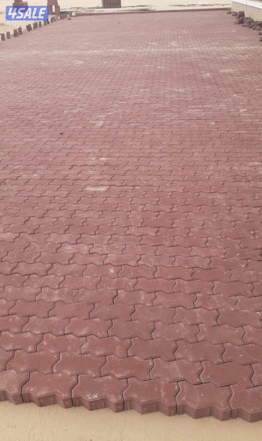 مدينه حوالي12