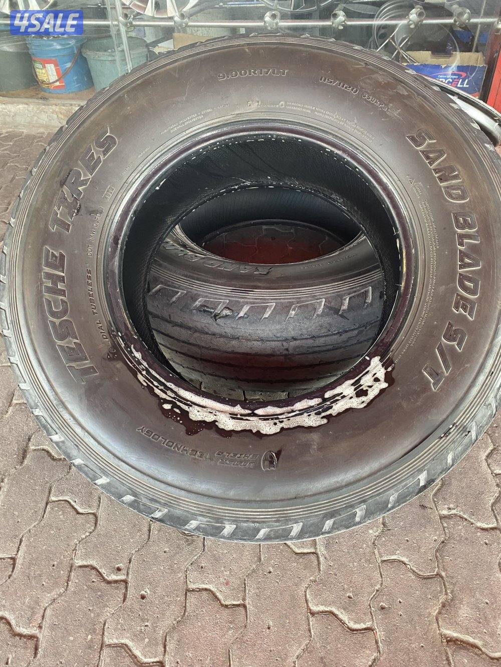 للبيع شواهين حجم 170